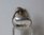Lapponia  Sterling silver ring, size T