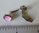 C.O.Frydensberg Sterling silver unisex pink cufflinks